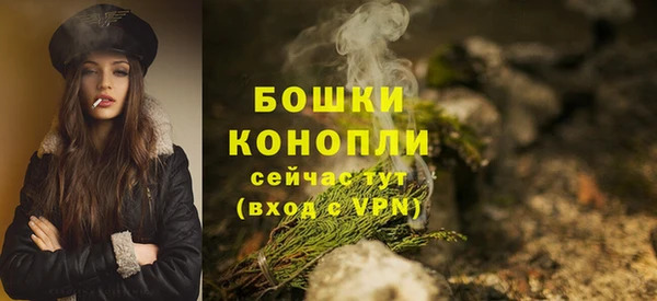 apvp Белокуриха