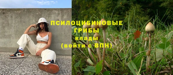 индика Беломорск