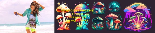 индика Беломорск