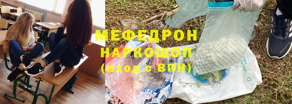индика Беломорск