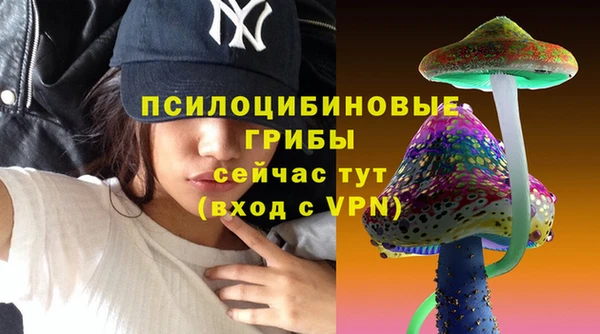 индика Беломорск