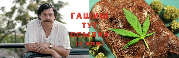 apvp Белокуриха