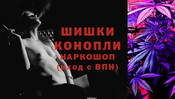 индика Беломорск